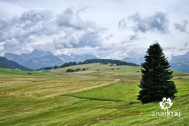 panorama-alpe-di-siusi-alpy-2012-szymon-nitka-0114.jpg